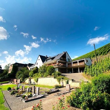 Chateau-De-La-Moselle Kinheim Экстерьер фото