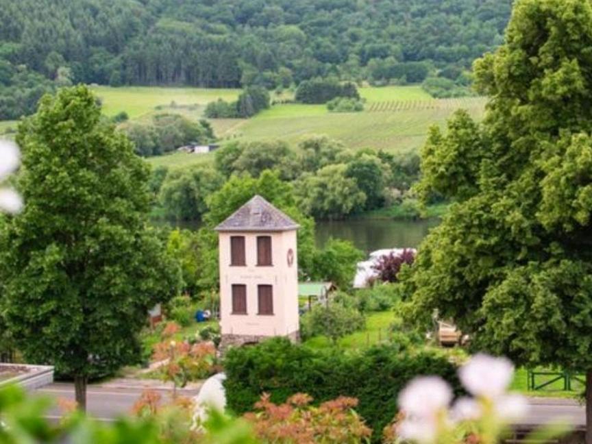 Chateau-De-La-Moselle Kinheim Экстерьер фото